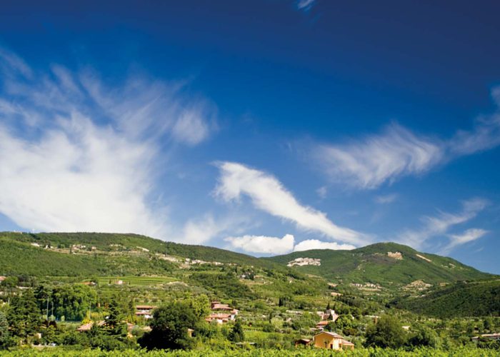 Valpolicella: Terra di vini straordinari e tradizioni vinicole millenarie